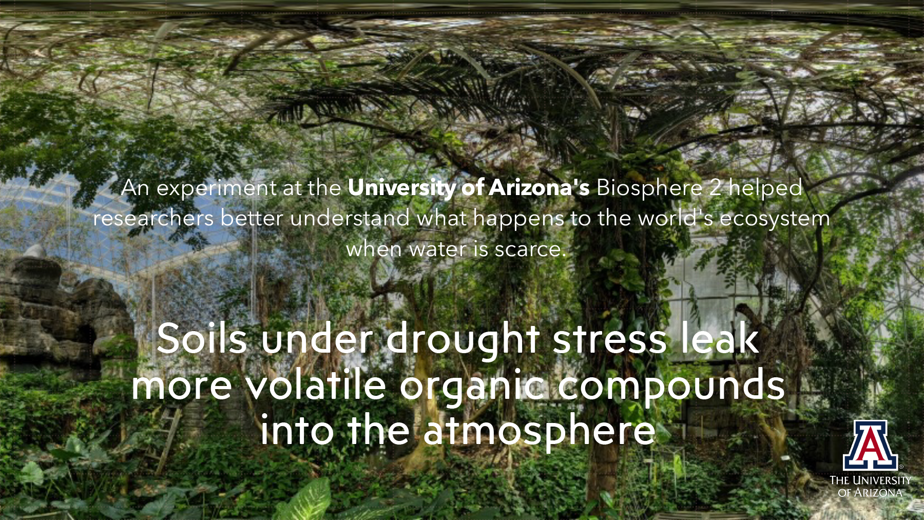 Soils under drought stress leak more volatile organic compounds into the atmosphere