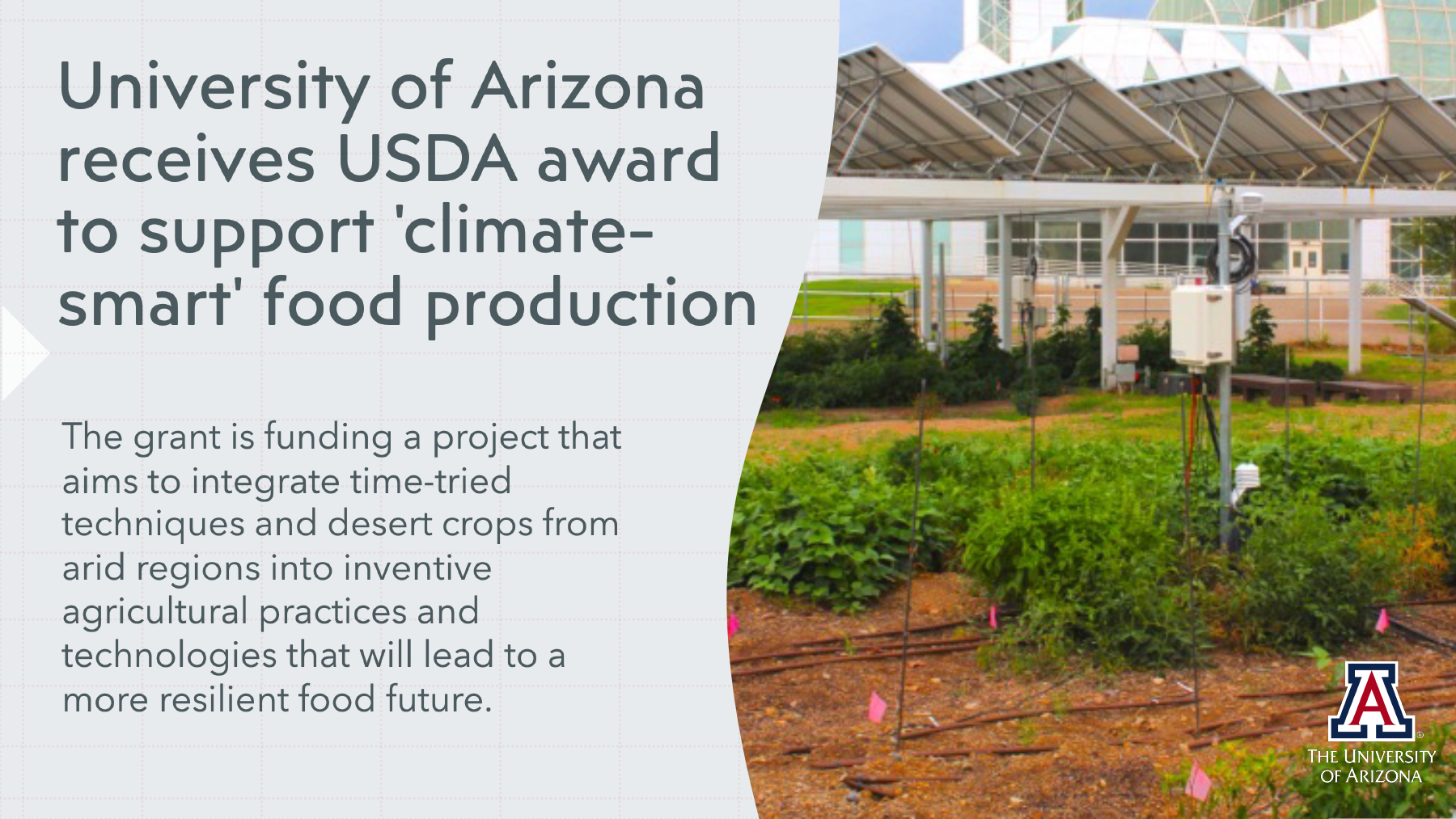 University of Arizona receives USDA award to support 'climate-smart' food production