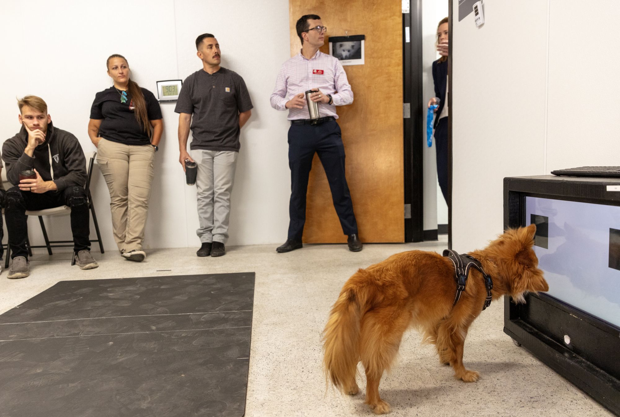 Visitors from Davis-Monthan Air Force Base observe a dog completing a trial at the Arizona Canine Cognition Center