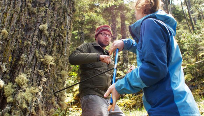 Anchukaitis is teaching a college to take a tree ring sample