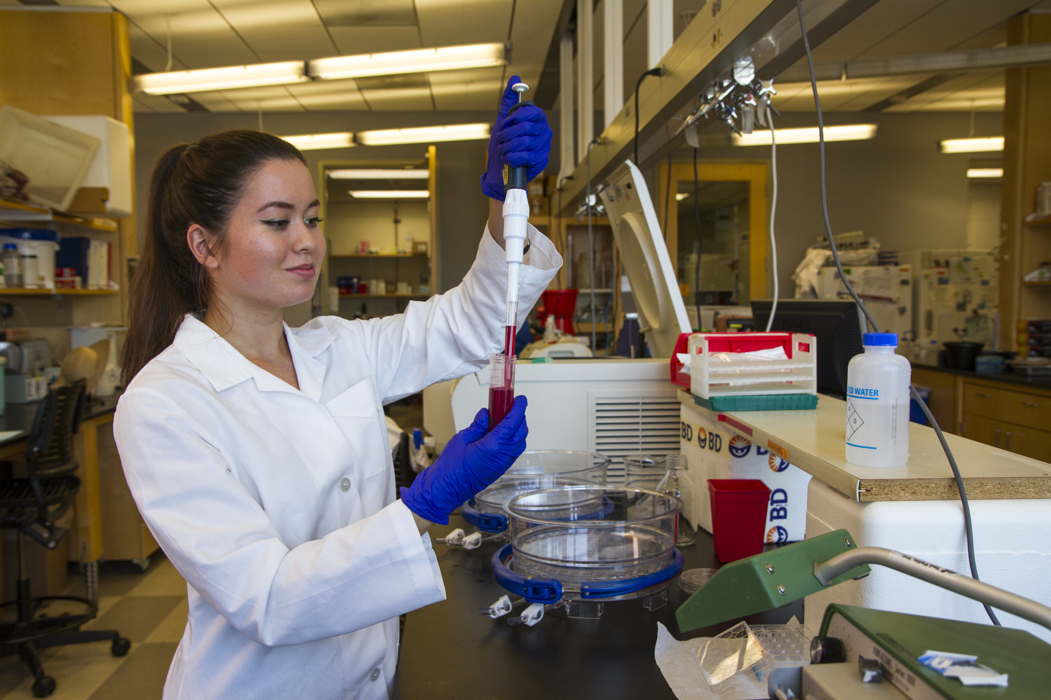 University of Arizona molecular and cellular biology undergraduate student Ayumi Pottenger handling a sample in the laboratory