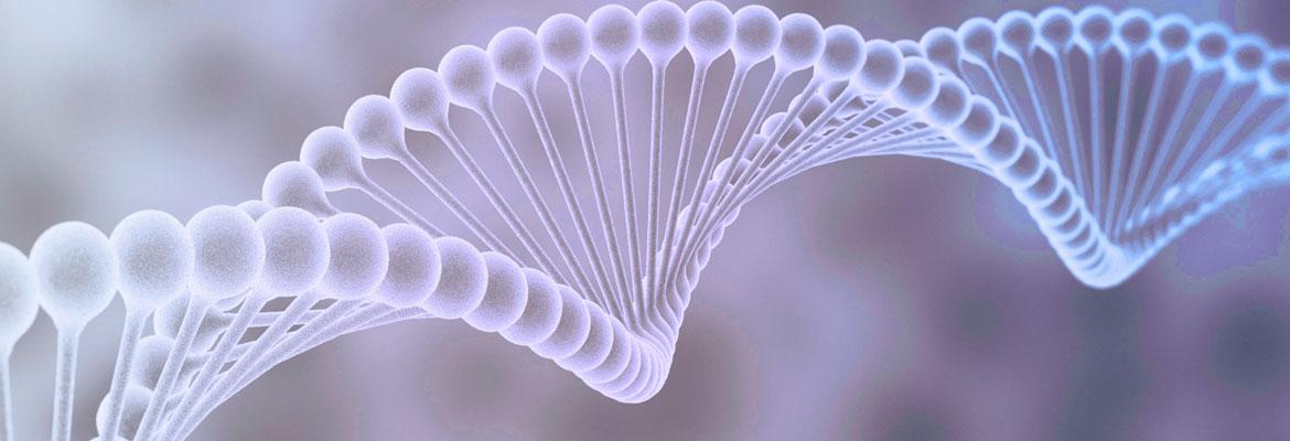 DNA strand for the University of Arizona Genetics Core Facility