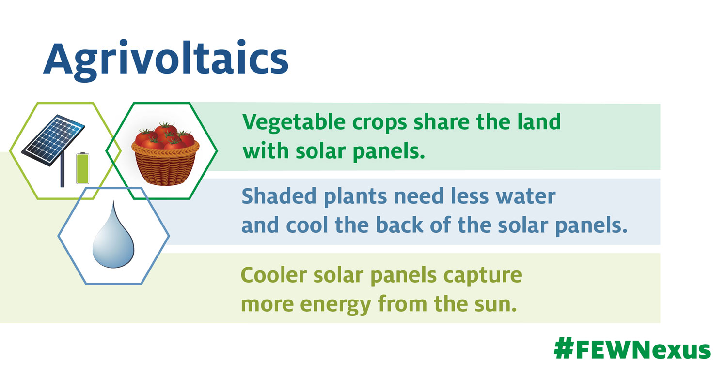 Agrivoltaics image with a vendiagram of water, an electrical pannel and a basket of tomatoes. Vegetable crops share the land with solar panels. Shaded plants need less water and cool the back of the solar panels. Cooler solar panels capture more energy fr