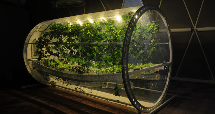 an image of Martian Lunar greenhouse with plants growing inside