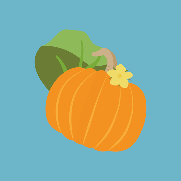 illustration of pumpkin