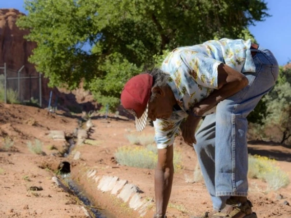 researchers create more sustainable Agriculture