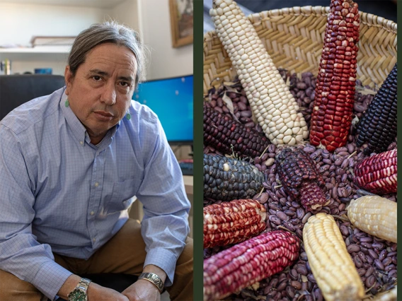 Three images of Kotutwa Johnson: one in office, one of his varietals of corn; one of him in field holding watermelong