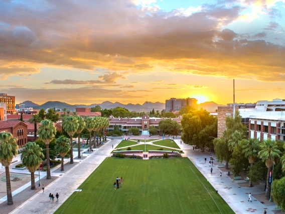 The U of A Campus mall and a cloudy sky at golden hour