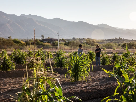 (left) Michael Kotutwa Johnson, Assistant Professor, Cooperative Extension Specialist, Indigenous Resilience, College of Natural Resources  & the Environment.