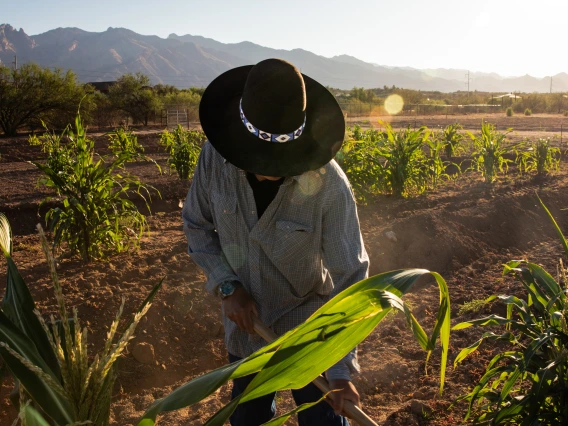 Michael Kotutwa Johnson, Assistant Professor Cooperative Extension Specialist, Indigenous Resilience, College of Natural Resources & the Environment.