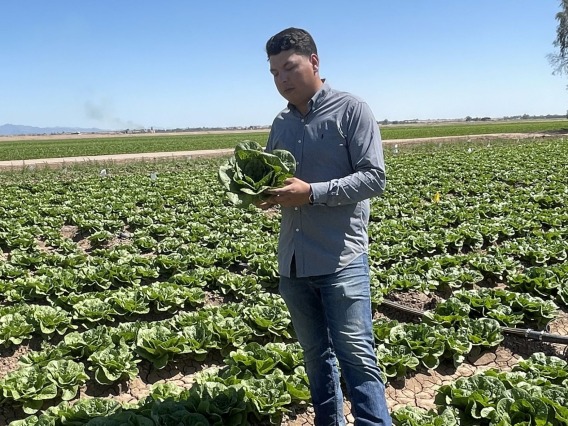 Alan Cruz, an agricultural systems management major at University of Arizona Yuma, stands in a field of leafy greens.