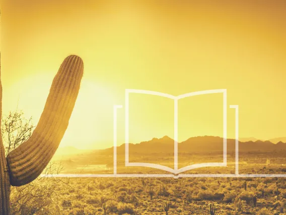 faint illustrated book floating over the desert next to a saguaro cactus