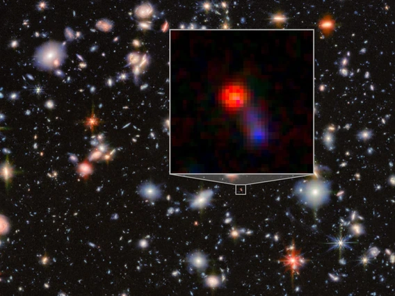 Galaxies of many shapes and colors dot the black background of distant space, with an inset zooming in on the red object dubbed "Virgil," the object of the study reported here.