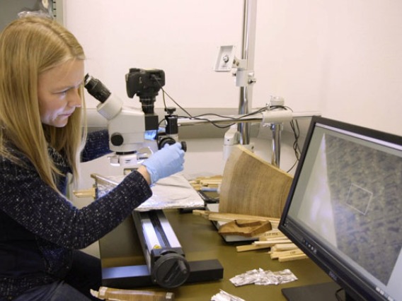 Female Researcher reviewing Tree Ring samples in the Tree Ring lab on the computer at the University of arizona