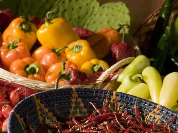 Baskets of peppers, chilis and cactus