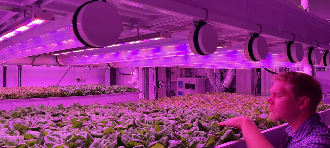 University of Arizona Controlled Environment Agriculture Center, Vertical Farming Facility