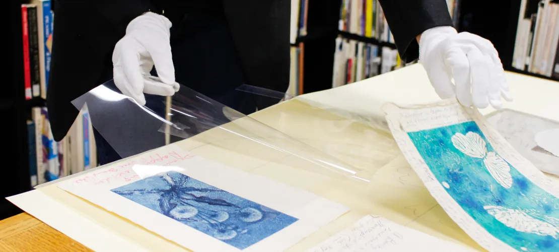 an archivist in white gloves lays out cyanotype photographs