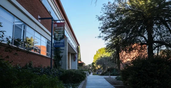University of Arizona main campus, Tucson Arizona.