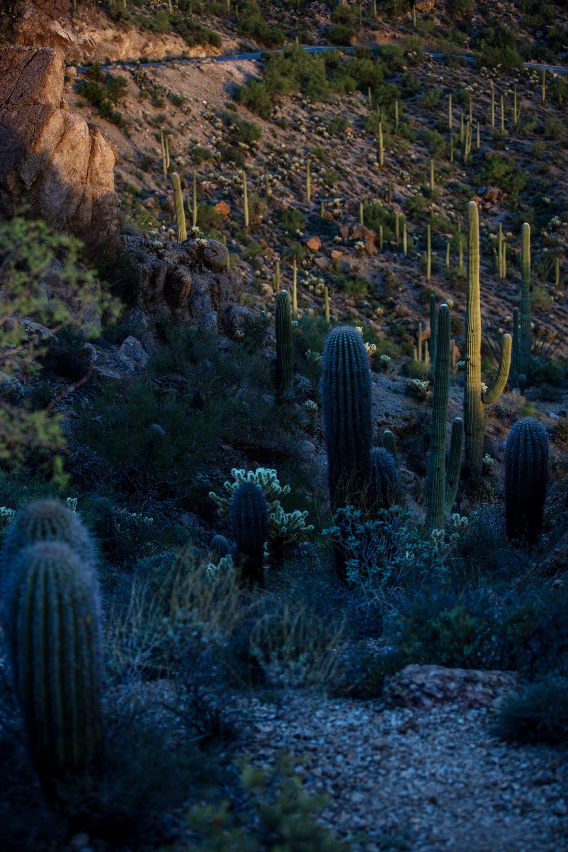24 08 Tucson General Gates Pass_13lhk