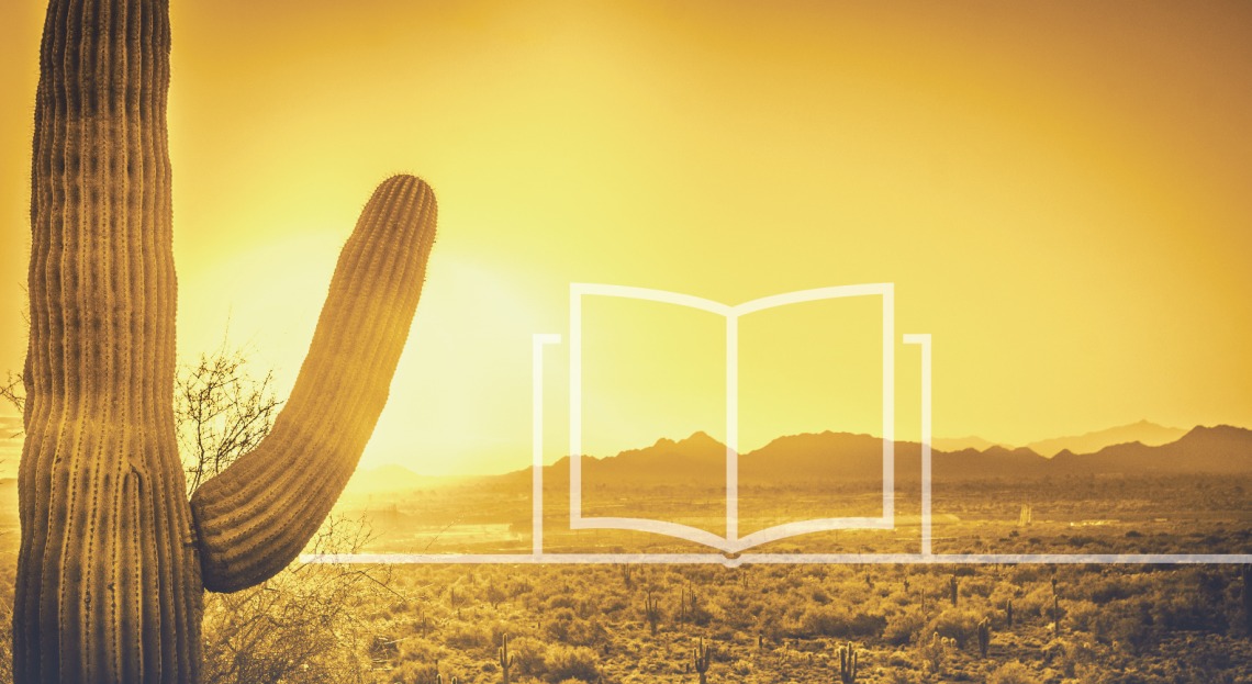 faint illustrated book floating over the desert next to a saguaro cactus