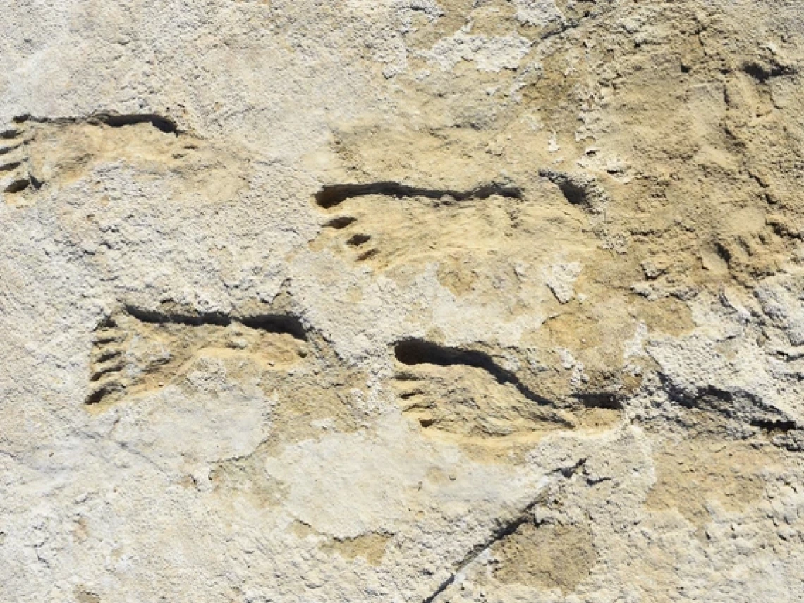 ancient footprints in beige clay