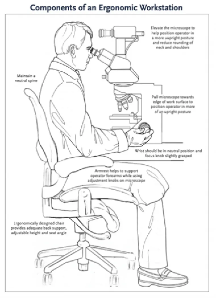  illustration of an ergonomic workstation