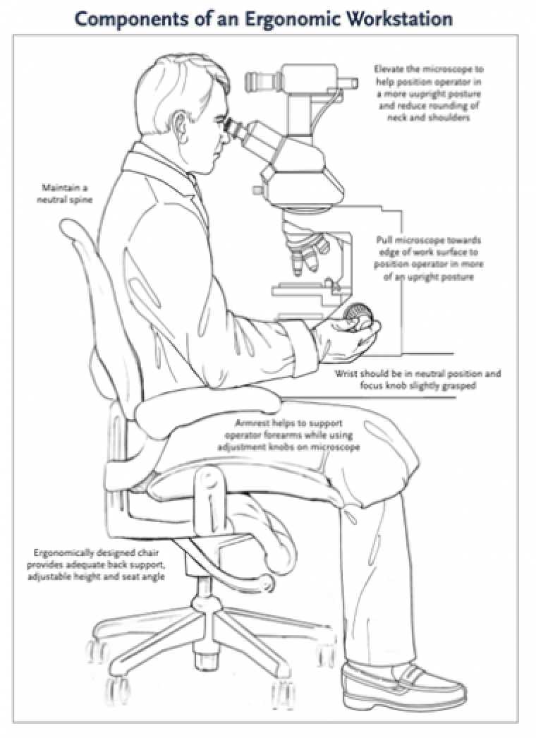  illustration of an ergonomic workstation