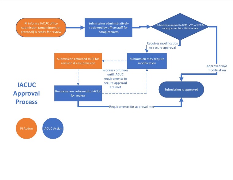 A flowchart of the IACUC submission and approval process