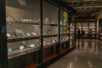 Wide shot of exhibit in the Alfie museum