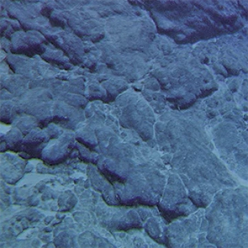 Ferromanganese crusts
