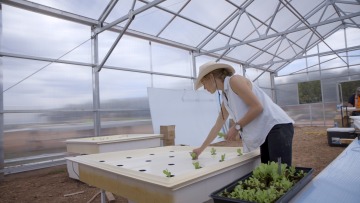 Indige-FEWSS graduate student Bekah Waller planting lettuce in a hydroponic system.