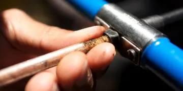 A core sample is being pulled out of a tree for tree ring study of climate
