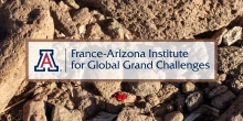 FA-Institute-with-Tumamoc-Red-Velvet-Mite