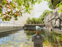 a man looking out across Biosphere 2's artificial ocean