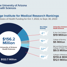 A graphic which shows the amount of funsing for each college in University of Arizona Health Sciences.