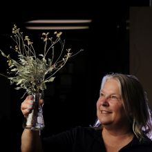 Kim Ogden holds up guayule branches