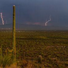 A desert landscape with cactus and lightning 