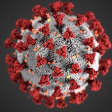 Illustration of a coronavirus particle