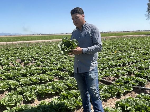 Alan Cruz, an ag systems management major at UArizona Yuma, stands in a field of leafy greens.