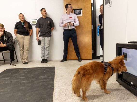 Visitors from Davis-Monthan observe a dog completing a trial at the Arizona Canine Cognition Center