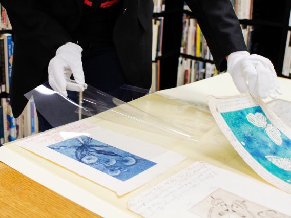 an archivist in white gloves lays out cyanotype photographs