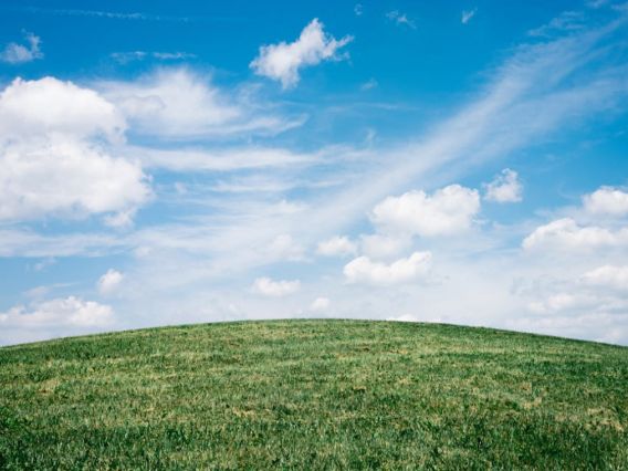 A blue sky with some white clouds above a swath of green grass.