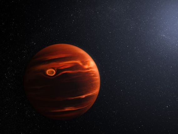 An illustration of exoplanet VHS 1256 b shows a dimly glowing, Jupiter-like planet with cloud features in its atmosphere. 