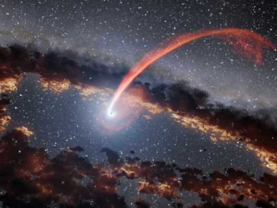 Illustration of a black hole shredding a star in a tidal disruption event