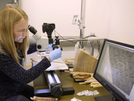 Female Researcher reviewing Tree Ring samples in the Tree Ring lab on the computer at the University of arizona