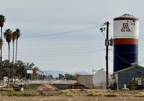 The University of Arizona block &#039;A&#039; is painted on a silo in Yuma