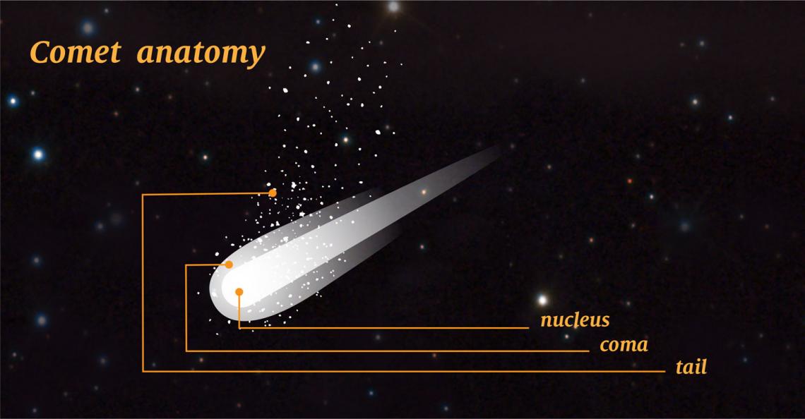 an illustration of a comets anatomy or what a comet is made of with it's nucleus, coma, and tail called out. 