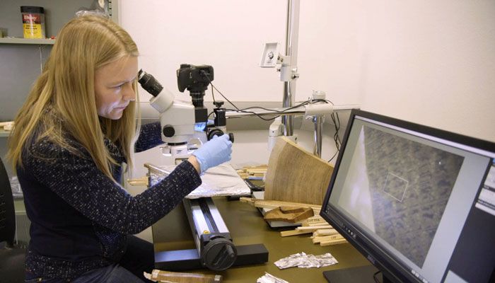 carbon dating tree ring