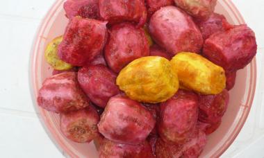 Skinned and prepped prickly pear cactus fruit in a bowl