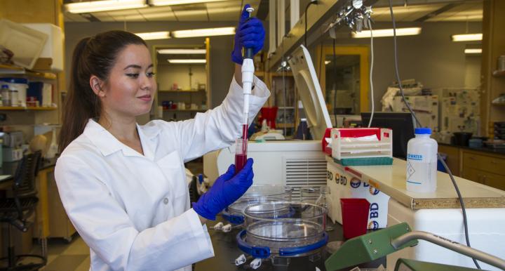 University of Arizona students handling a sample in the laboratory